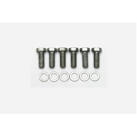 Bolt Kit - 3 Bolt Spindle to Caliper Bracket (6pk) (230-11066)